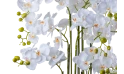 Artificial Orchid Real Touch