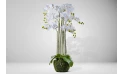 Artificial Orchid Real Touch