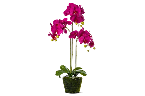 Artificial Orchid Realtouch