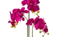 Artificial Orchid Realtouch