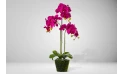 Artificial Orchid Realtouch