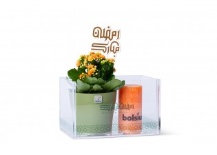 هدية رمضان - نبتة كلانشو