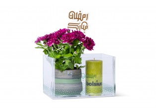 هدية رمضانية - نبتة الأقحوان 