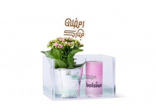 هدية رمضانية - نبات كلانشو