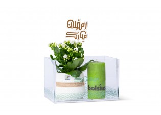هدية رمضانية - نبتة كلانشو 