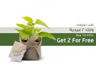 توزيعات عيد الفطر -  نبتة بوتس مزروعة 