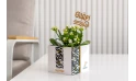 Ramadan Gift -kalanchoe Plant 