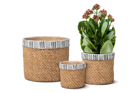 Cement pot