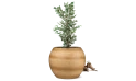 حوض سيراميك 