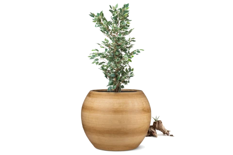 Ceramic Pot 