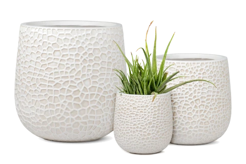 Fiber clay Pot