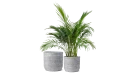 Light Grey Cylindrical Cement Pot