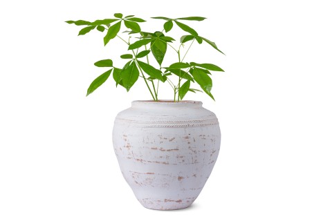 حوض اسمنتي معتق