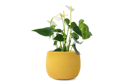 Cylindrical Cement Pot Yellow