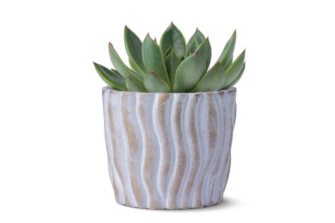 حوض اسمنتي أسطواني معتق