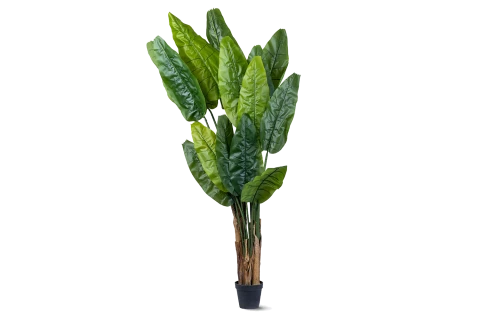 Artificial Traveller's-Tree