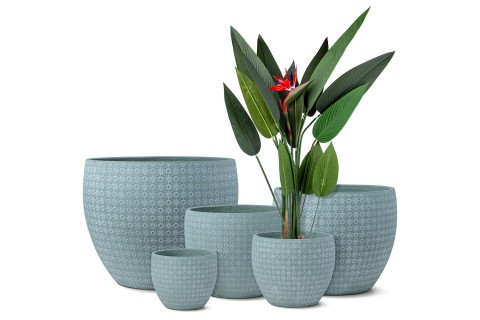 حوض اسمنتي دائري - اللون أخضر فاتح   