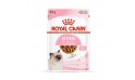 كيس طعام رطب انستينكتف للقطط الصغيرة من رويال كانين -  85 جم