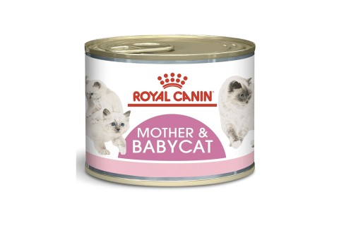 طعام فيلاين هيلث نيوتريشن للقطط الأم والصغيرة من رويال كانين..