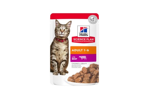 طعام رطب ساينس بلان لحم البقر في مرق للقطط البالغة 1-6 من هي..