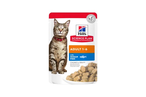 طعام رطب ساينس بلان مع أسماك المحيط للقطط البالغة 1-6 من هيل..