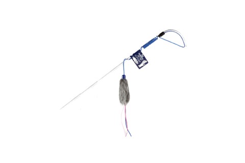 لعبة للقطط من في بيرفكت