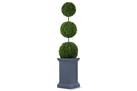 نبات البوكسوود الاصطناعي بثلاث كرات في حوض على شكل قاعدة