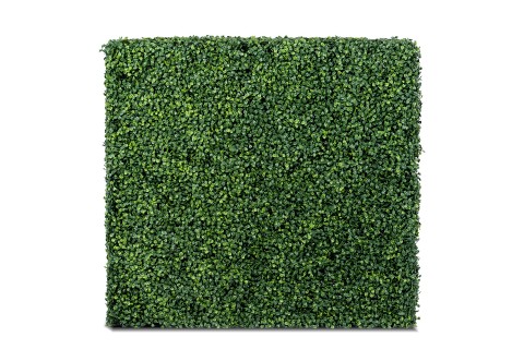 لوح سياج نبات البوكسوود الاصطناعي