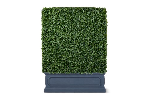 سياج نبات البوكسوود الاصطناعي في حوض مستطيل