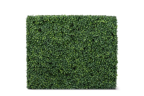 سياج نبات البوكسوود الاصطناعي 