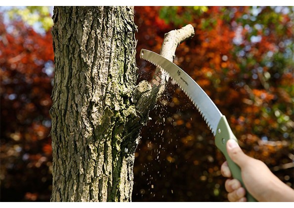 منشار التقليم (Pruning Saw)