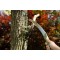 منشار التقليم (Pruning Saw)