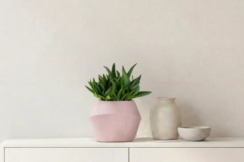 Aloe vera-Green Planted In A Ceramic Pot