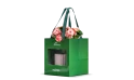 Begonia Plant Planted In A Ceramic Pot - Ramadan Gift