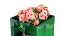 Begonia Plant Planted In A Ceramic Pot - Ramadan Gift