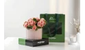 Begonia Plant Planted In A Ceramic Pot - Ramadan Gift