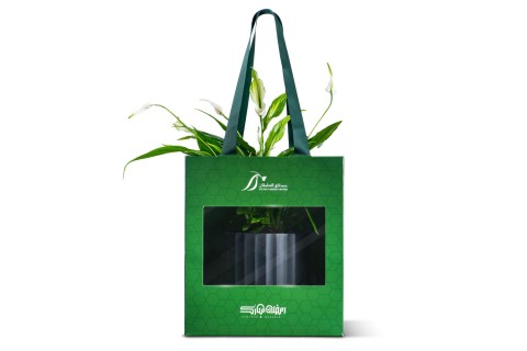  نبتة سباثيفيلوم مزروعة في حوض سيراميك - هدية رمضان