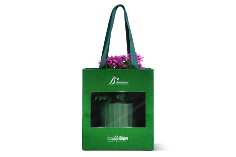 نبتة الكريزانتيموم مزروعة في حوض سيراميك - هدية رمضان 