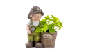 Scindapsus Aureus Potted In Mgo Boy Planter