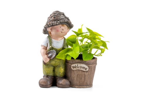 سكيندابسوس أوريوس (لبلاب الشيطان) مزروعة  في حوض داخلي