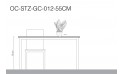 سانسفيريا تريفاسياتا زيلانيكا