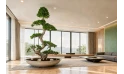 Ficus Macrocarpa Shima Root