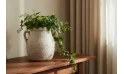 Rustic Rope Texture Fiberglass  Planter With Handles - Farmhouse Style