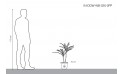 دراسينا وارنكي