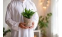 هدية عيد الأضحى- نبتة دراسينا جانيت كريج كومباكتا مزروعة في حوض بلاستيك