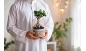  هدية عيد الأضحى- نبتة فيكس جينسينج مزروعة في حوض فخار 