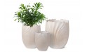 Fiber Clay Pot - White Color Tulip Petal Shape