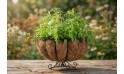 مجموعة أعشاب عطرية متنوعة