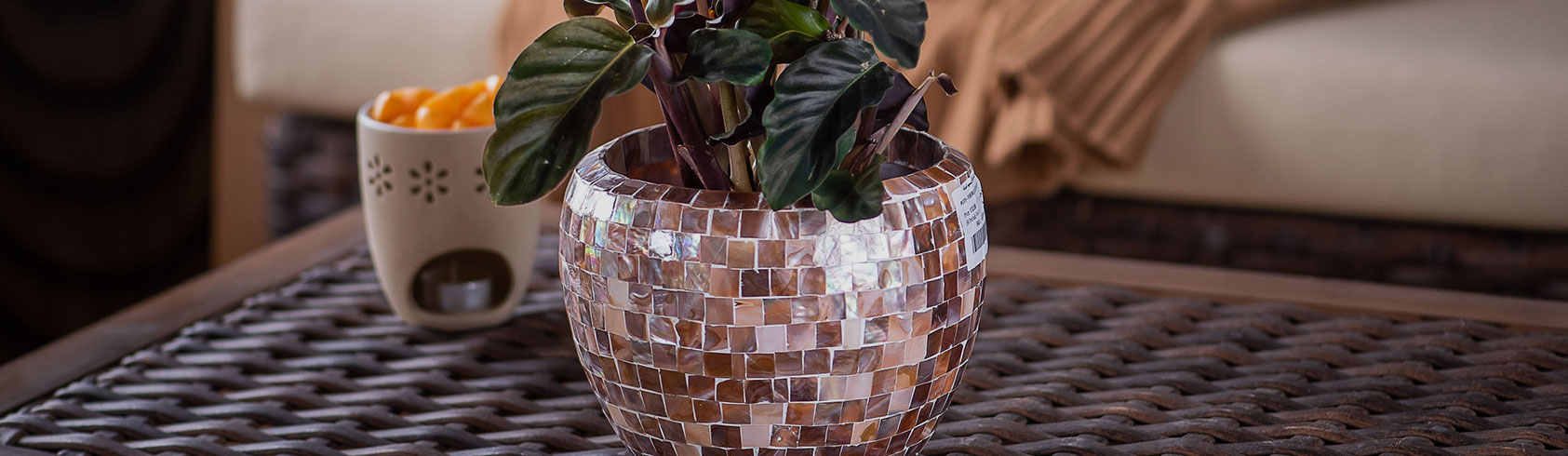 أحواض للديكور