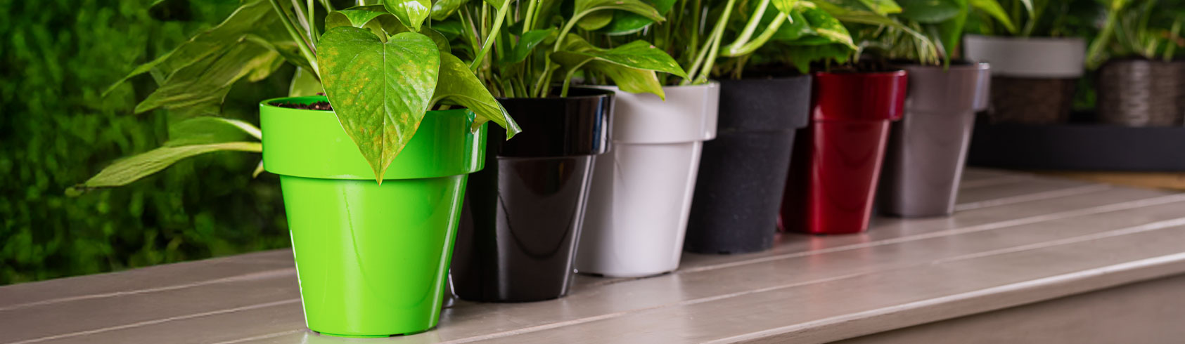 أحواض بلاستيك